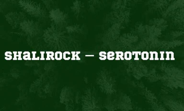 Shalirock – Serotonin Mp3 Download